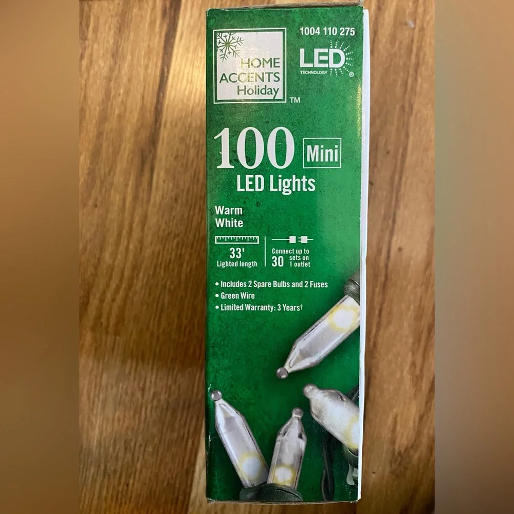 Home Accents Holiday 100 Mini LED Lights Warm White NIB
